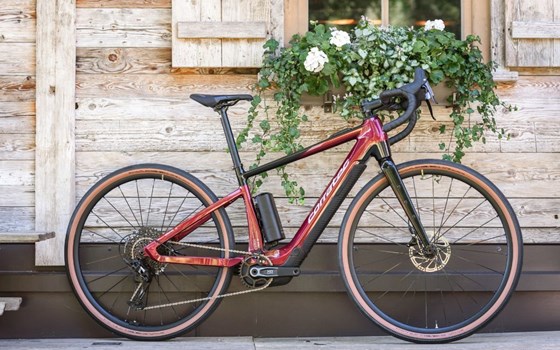 NEWSLETTER Mai 2024/01 - Bild 9