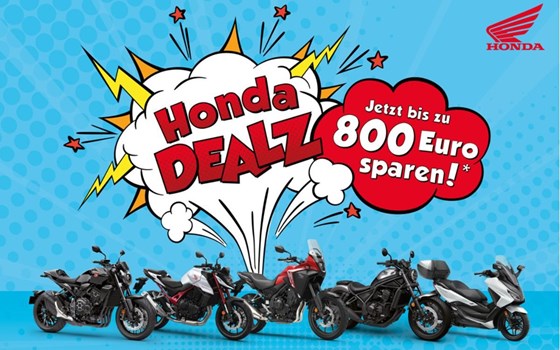 NEWSLETTER Mai 2024/01 - Bild 3