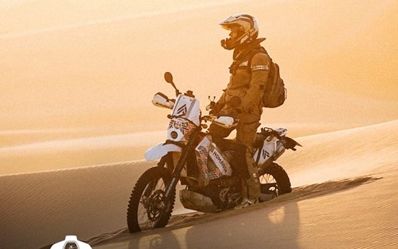 Revit Rückenprotektor Aktion  - Bild 3