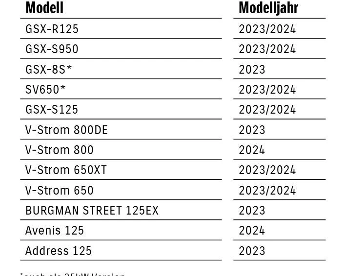 Easy Einstieg für Führerscheinneulinge* Bild 6: Easy Einstieg für Führerscheinneulinge*