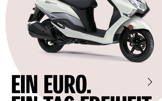 EIN EURO. EIN TAG FREIHEIT - Bild 5