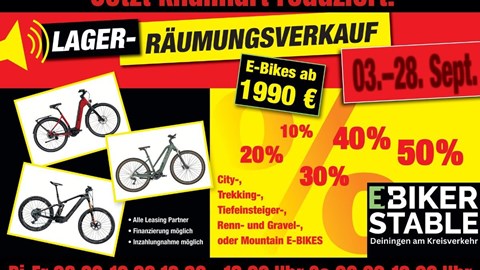 NEWSLETTER August 2024/02