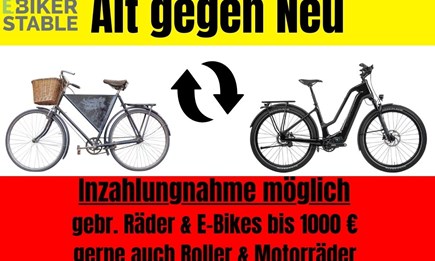 NEWSLETTER Juni 2024/01