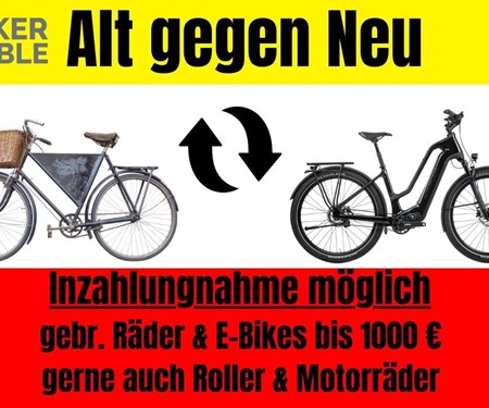 NEWSLETTER Juni 2024/01