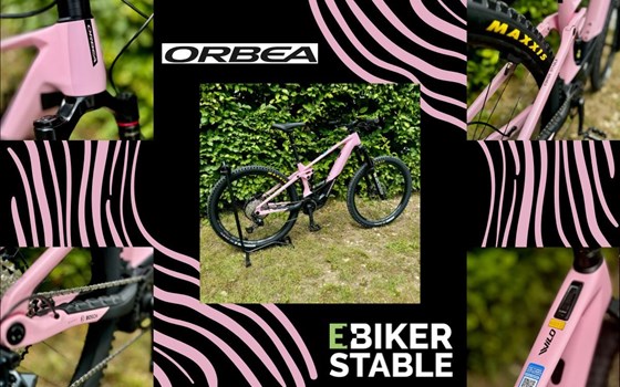 NEWSLETTER Juli 2024/01 - Bild 7