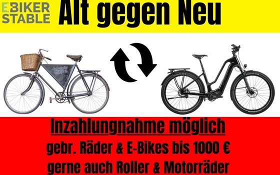 NEWSLETTER Juli 2024/01 - Bild 8