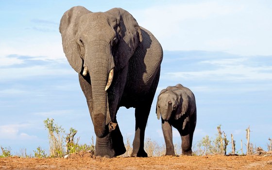 Joe Pichler in der KINI Bike World - Bild 9