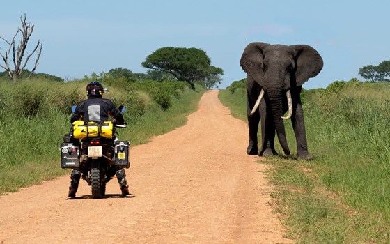 Joe Pichler in der KINI Bike World - Bild 2