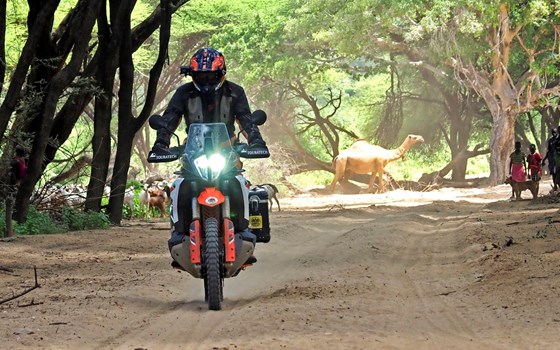 Joe Pichler in der KINI Bike World - Bild 4