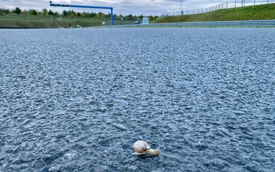 Das letzte OSL Event 2024 - Bild 8