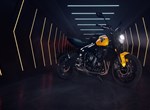 Neue Triumph Trident 660, für 2025 noch besser!