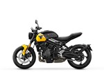 Neue Triumph Trident 660, für 2025 noch besser!