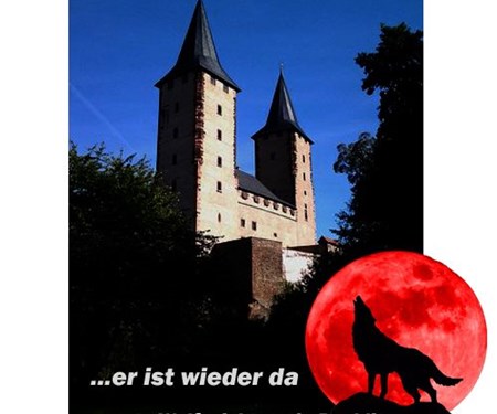 ...in Rochlitz wurde wieder ein Wolf gesichtet
