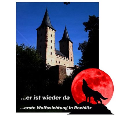 ...in Rochlitz wurde wieder ein Wolf gesichtet