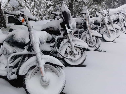 Du suchst einen warmen und trockenen Platz für dein Motorrad oder Roller. 