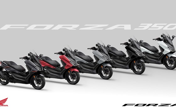 Die Honda Forza Premium Roller Familie erhält Design-Updates sowie mehr Ausstattung und Praktikabilität im Modelljahr 2025 - Bild 16