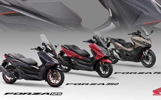 Die Honda Forza Premium Roller Familie erhält Design-Updates sowie mehr Ausstattung und Praktikabilität im Modelljahr 2025 - Bild 30
