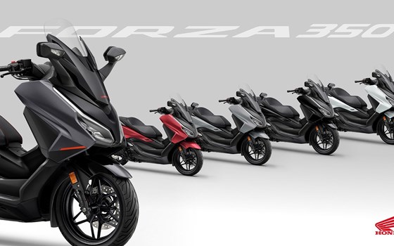 Die Honda Forza Premium Roller Familie erhält Design-Updates sowie mehr Ausstattung und Praktikabilität im Modelljahr 2025 - Bild 1