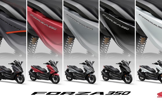 Die Honda Forza Premium Roller Familie erhält Design-Updates sowie mehr Ausstattung und Praktikabilität im Modelljahr 2025 - Bild 22