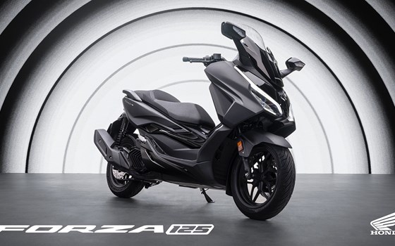 Die Honda Forza Premium Roller Familie erhält Design-Updates sowie mehr Ausstattung und Praktikabilität im Modelljahr 2025 - Bild 25