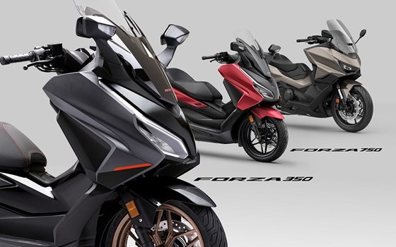 Die Honda Forza Premium Roller Familie erhält Design-Updates sowie mehr Ausstattung und Praktikabilität im Modelljahr 2025 - Bild 4