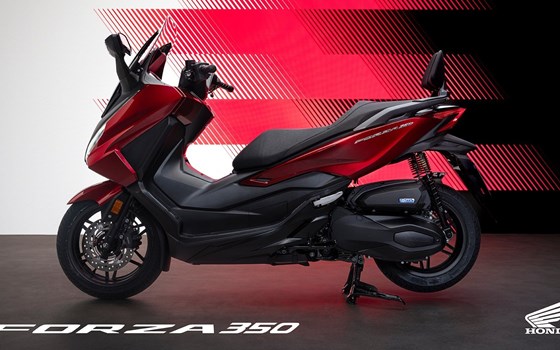 Die Honda Forza Premium Roller Familie erhält Design-Updates sowie mehr Ausstattung und Praktikabilität im Modelljahr 2025 - Bild 7