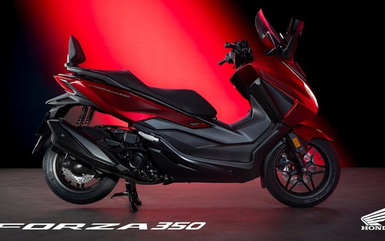 Die Honda Forza Premium Roller Familie erhält Design-Updates sowie mehr Ausstattung und Praktikabilität im Modelljahr 2025 - Bild 8