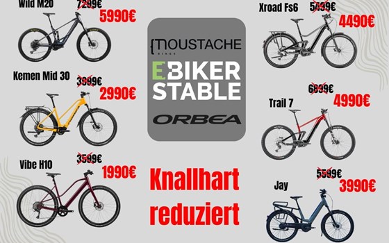 NEWSLETTER Oktober 2024/01 - Bild 2