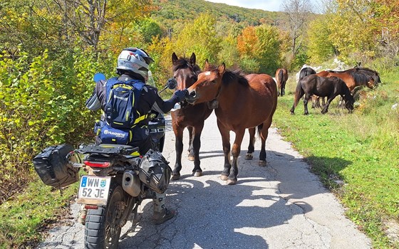 Norden 901 Expedition macht ihren Namen alle Ehre!! - Bild 5