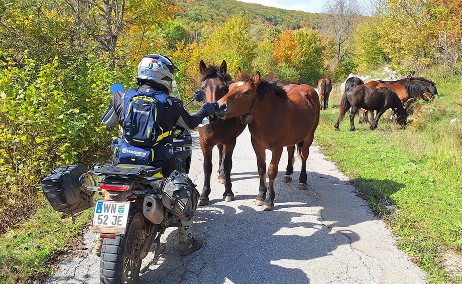 Norden 901 Expedition macht ihren Namen alle Ehre!! Bild 5: Norden 901 Expedition macht ihren Namen alle Ehre!!