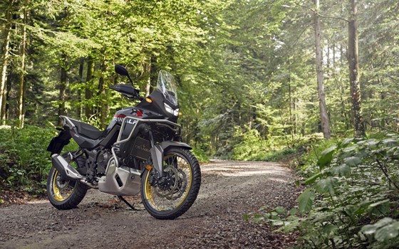 Honda Semmler - HONDA XL750 TRANSALP Modelljahrgang 2025 - Bild 15