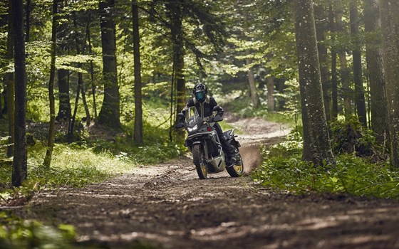 Honda Semmler - HONDA XL750 TRANSALP Modelljahrgang 2025 - Bild 7