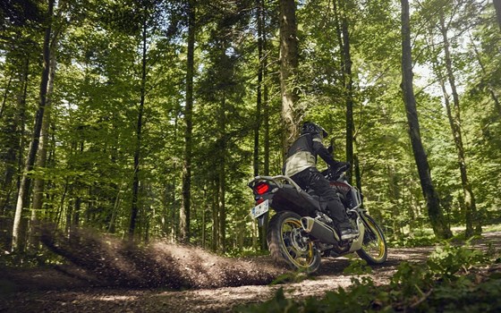 Honda Semmler - HONDA XL750 TRANSALP Modelljahrgang 2025 - Bild 8