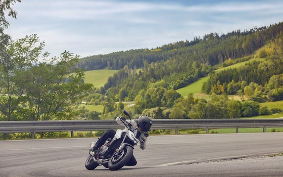 Honda Semmler - HONDA CB750 HORNET Modelljahrgang 2025 - Bild 9