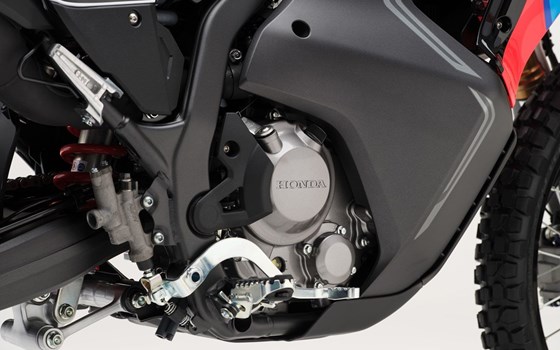 Honda Semmler - HONDA CRF300 RALLY Modelljahrgang 2025 - Bild 20