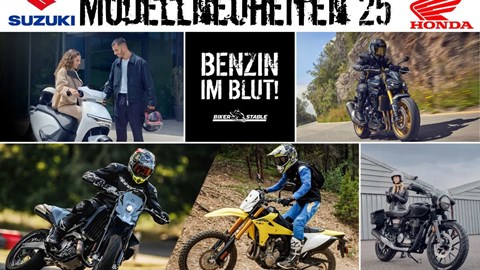 NEWSLETTER November 2024/02