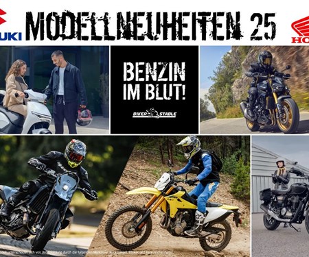 NEWSLETTER November 2024/02