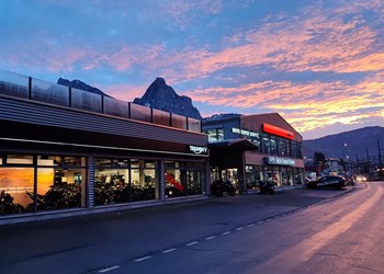 FRÜHLINGSAUSSTELLUNG