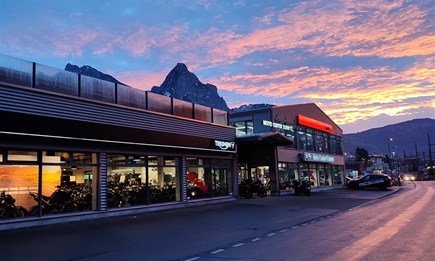 FRÜHLINGSAUSSTELLUNG