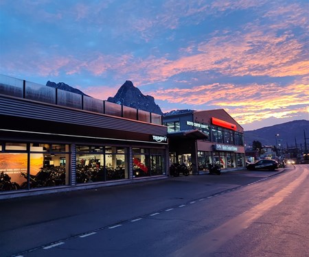 FRÜHLINGSAUSSTELLUNG