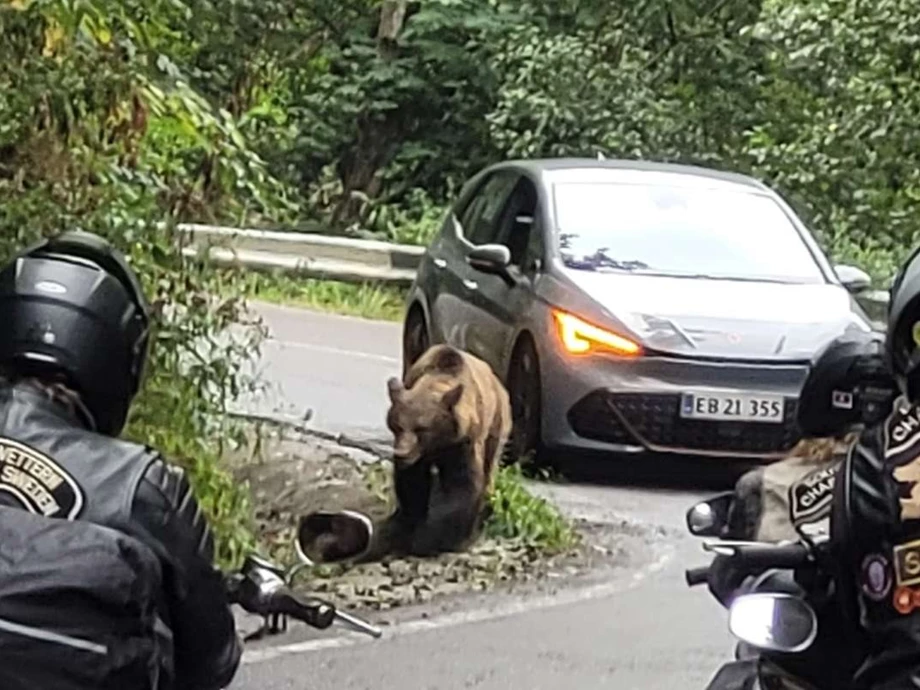 Bilder-,Reisevortrag von und mit Steini Bild 3: Bilder-,Reisevortrag von und mit Steini