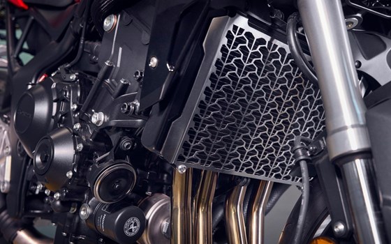 Honda Semmler - Neu eingetroffen Hornet 1000 - Bild 5