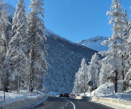 hmf LIVE Frühlingsfest am 29.03.2025