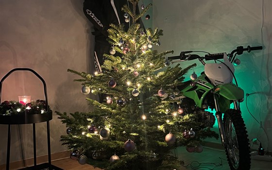 Ein Weihnachtsmann in grün!! - Bild 1