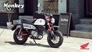 Honda Semmler Honda Monkey Modelljahr 2025 Honda Semmler Honda Monkey Modelljahr 2025