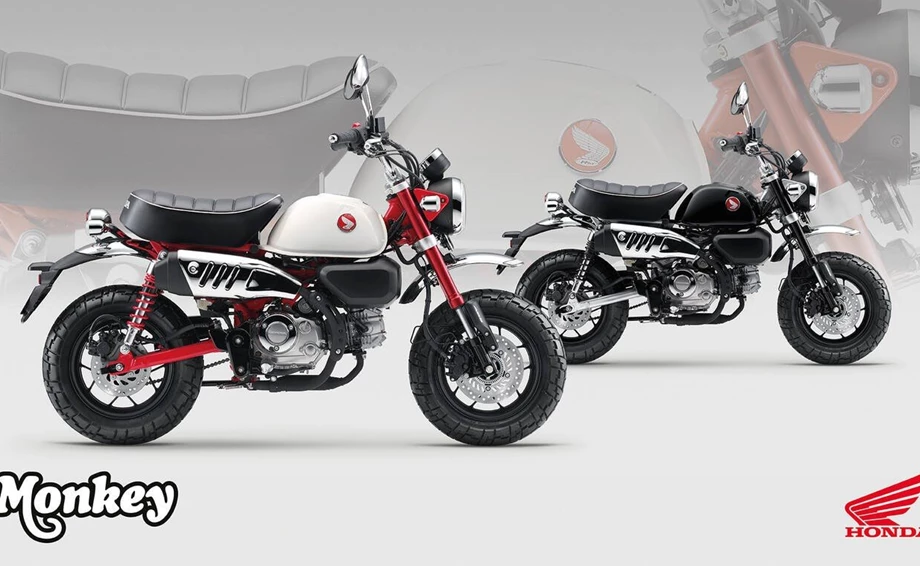 Honda Semmler - Honda Monkey Modelljahr 2025 Bild 2: Honda Semmler - Honda Monkey Modelljahr 2025