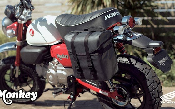 Honda Semmler - Honda Monkey Modelljahr 2025 - Bild 4