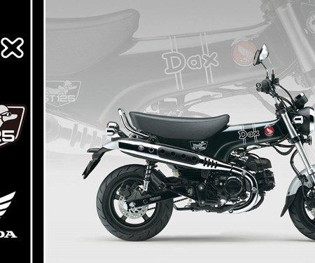 Honda Semmler - Honda Dax 125 Modelljahr 2025