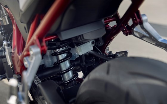 Honda Hornet 750 / Modell 2025 / bei Tempo-Zweirad-Treff GmbH in Nettetal-Kaldenkirchen - Bild 12