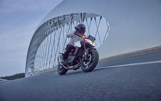 Honda Hornet 750 / Modell 2025 / bei Tempo-Zweirad-Treff GmbH in Nettetal-Kaldenkirchen - Bild 15